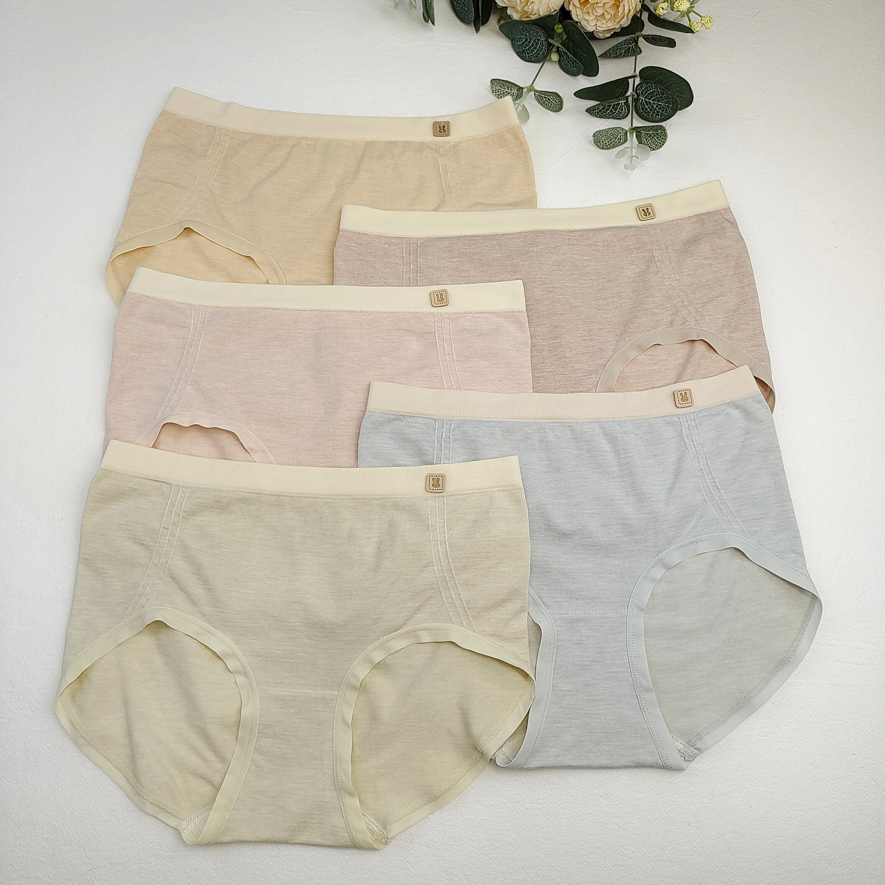 Women Stretch Underwear for Teen Girls Mid Waist Brief Comfort Multicolor 5 packs