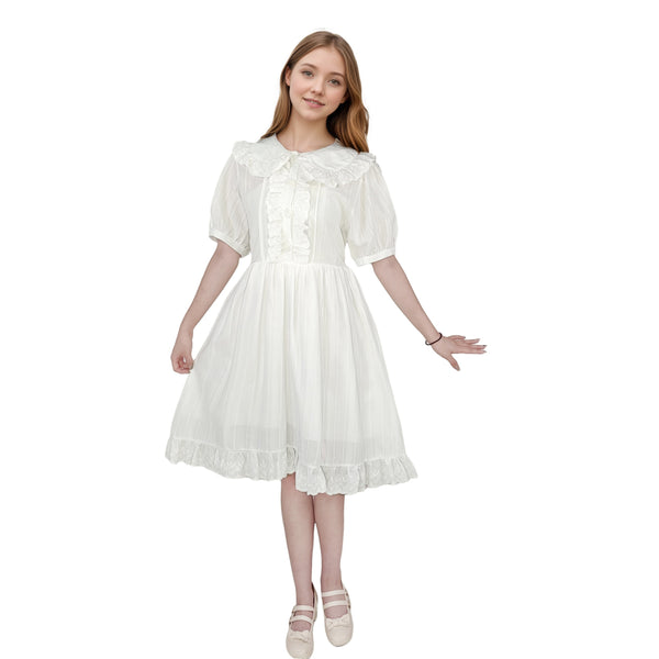 Cute preppy style ruffle dress A line flowy above knee length